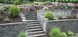 Landscape Design Problems and Solutions | Sponzilli Landscape Group