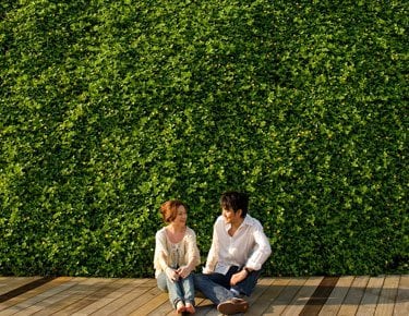 Couple in front of planted green wall