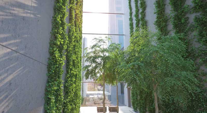 Olive trees and a 92-foot-high living green wall incorporated into the design of 550 Broome in NYC