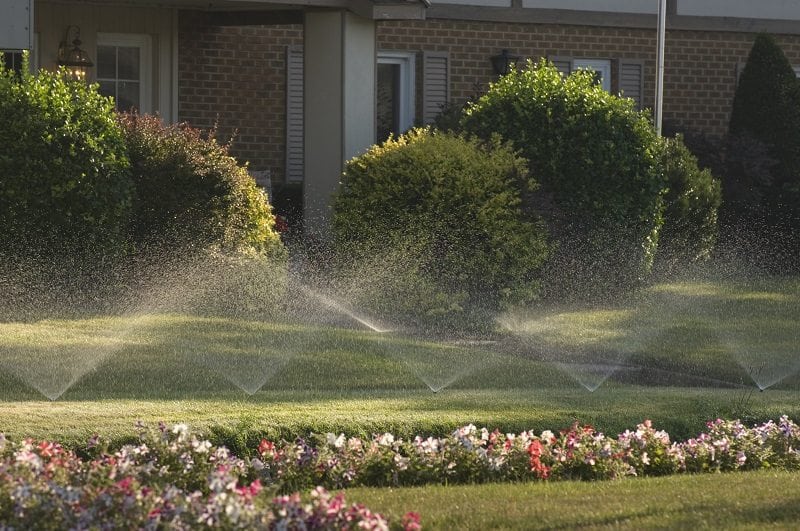 Sprinklers Irrigation Landscaping