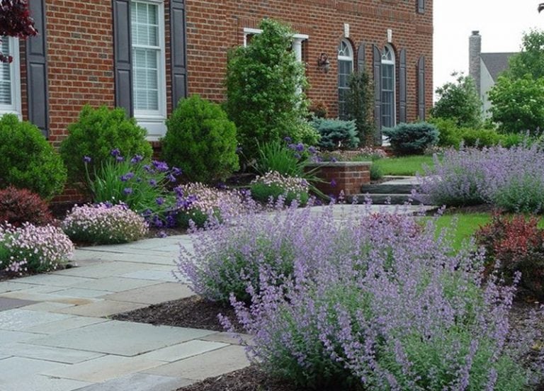 6 Tips To Create The Perfect Paths For Hardscaping | Landscape Design