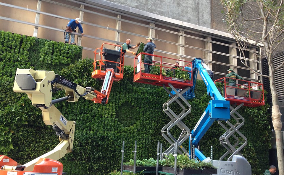 Green Wall at TIAA Cref Pocket Park