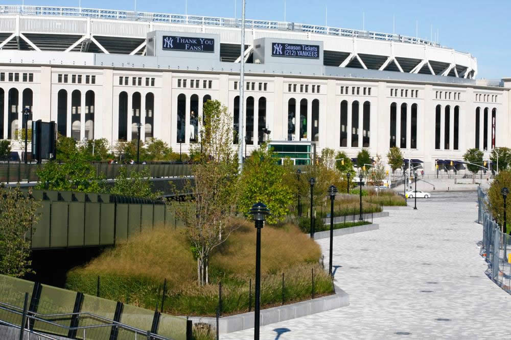 Landscaping at Yankee Stadium