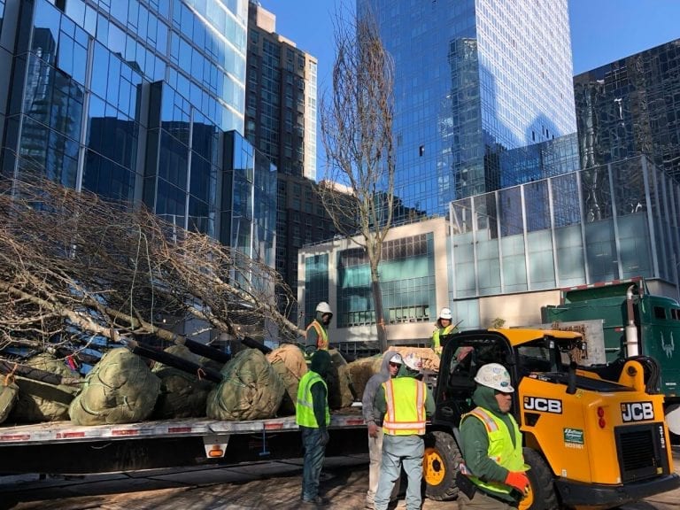 Landscapers planting trees at Waterline Square NY