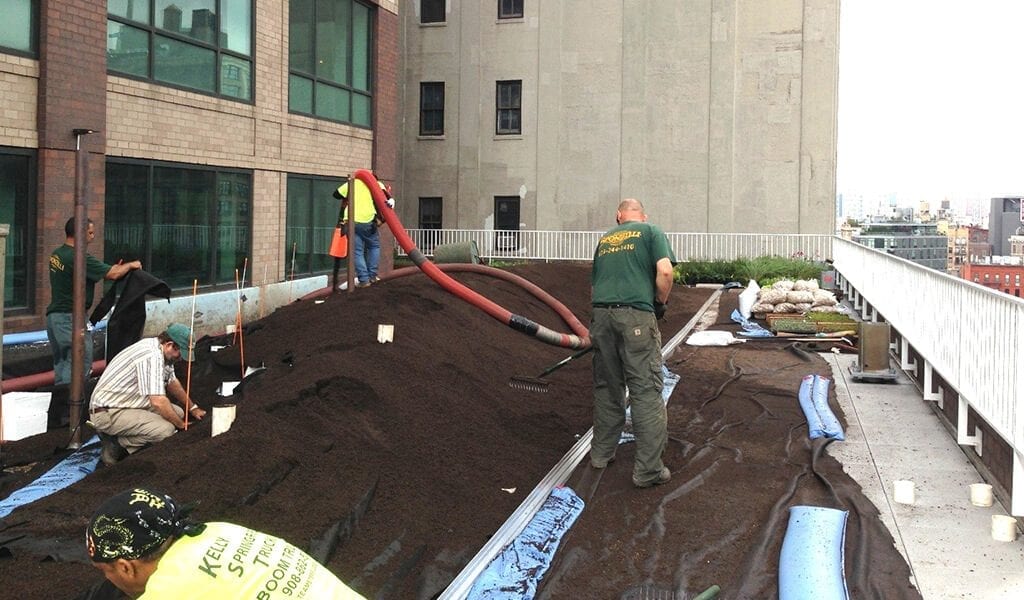 Commercial Landscape Project Under Construction at NY Genome Center