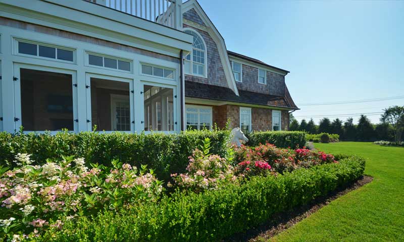 healthy landscape with flowers and green grass