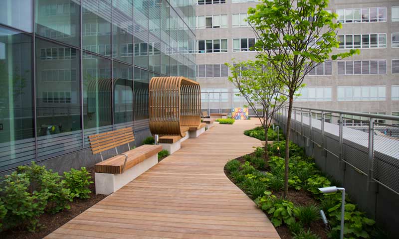 Pathway on garden terrace at NYU Langone Hospital
