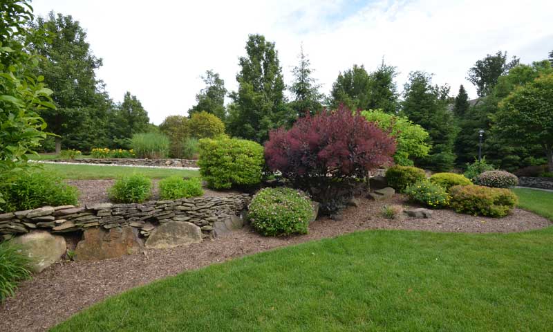 Landscaped garden bed with a retaining wall