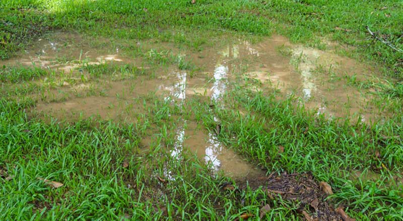 A yard with a large puddle of muddy standing water due to a drainage problem