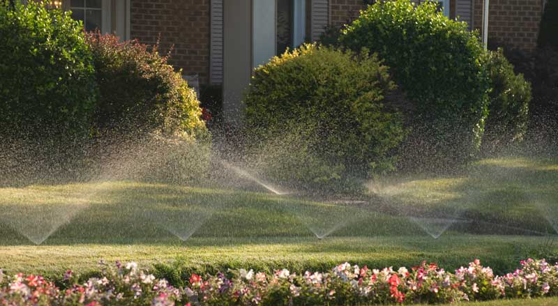 Sprinklers running on grass and garden in early morning