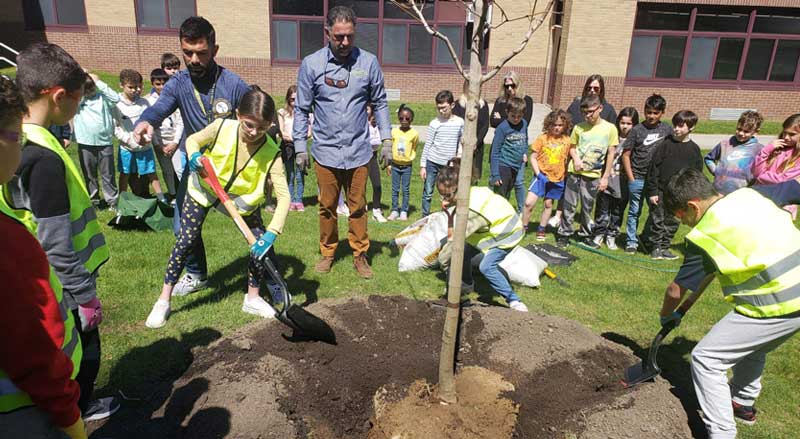 Students and adults watch kids plant a new tree