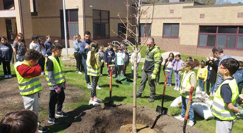 Elementary school students help to plant a tree while others watch