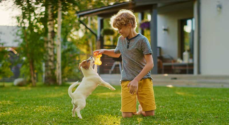 A boy playing with his dog on the lawn