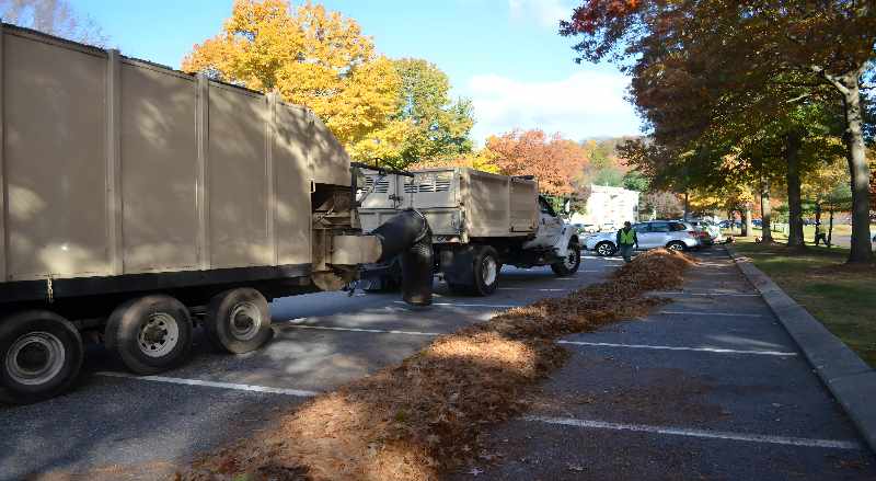 Sponzilli workers are able to get an overwhelming leaf clean-up job done efficiently by using blowers and vacuums