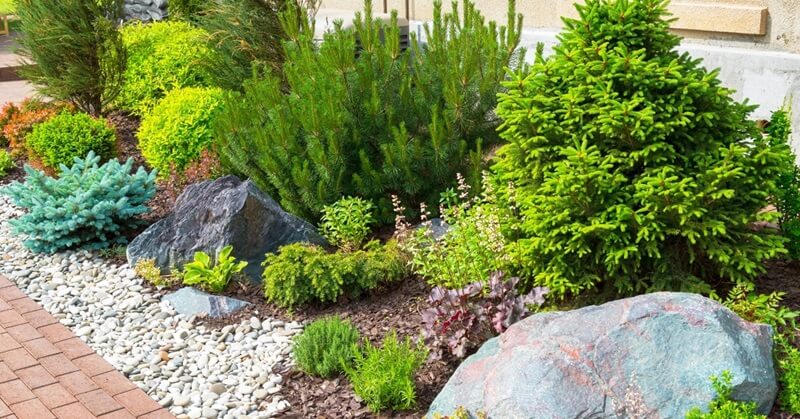 A visually appealing landscaped garden that features native plants and trees that require less water and maintenance