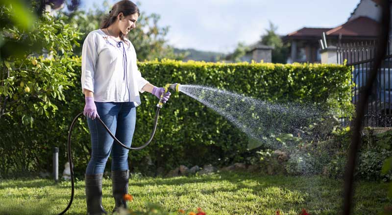 A woman in a yard watering the grass with a hose