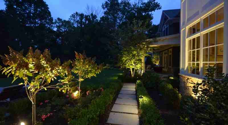 A walkway that is well lit with landscape lighting and very aesthetically pleasing