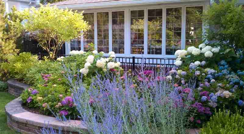 Various flowering plants and bushes that are planted inside of a retaining wall