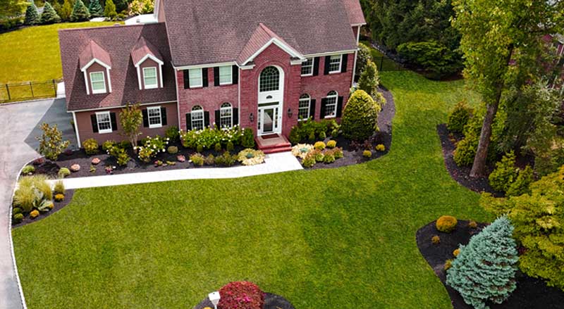 Lush green front yard with manicured flower beds, trimmed shrubs, and a professionally designed landscape for a stunning first impression