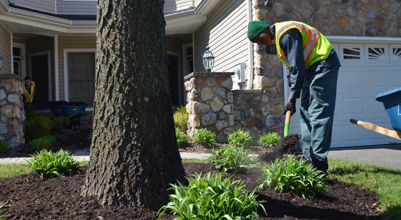 professional landscaper applying mulch to front yard garden bed