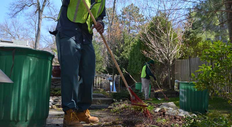 professional landscaper clearing debris from Spring Garden bed