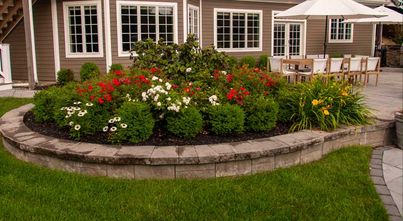 Curved garden bed with blooming red and white flowers surrounded by boxwoods and stone edging