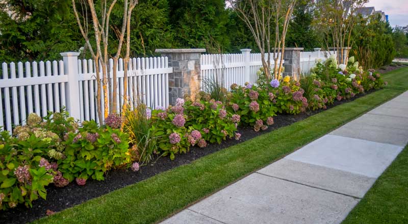 Vibrant seasonal flower bed featuring hydrangeas and accent lighting along a white picket fence