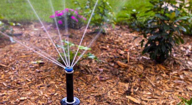 Automatic sprinkler system watering mulch bed and garden plants during seasonal lawn care