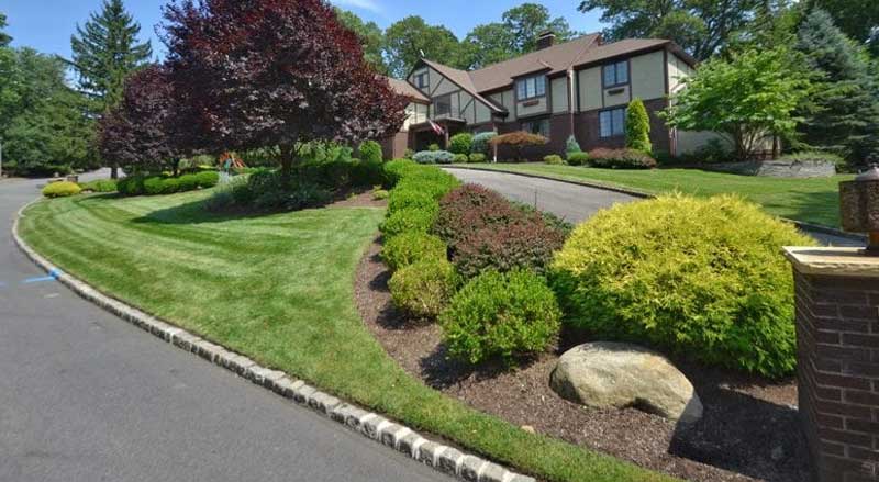 Well-maintained front yard with lush green lawn, colorful shrubs, and seasonal landscaping enhancements