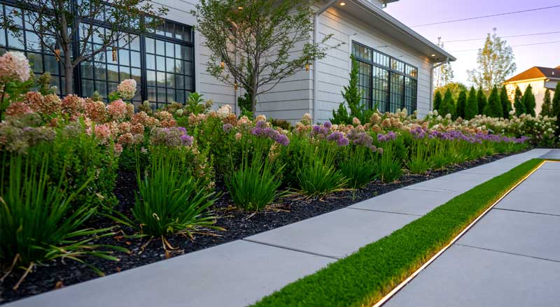 Freshly planted flowers and ornamental grasses lining a clean walkway beside a home.