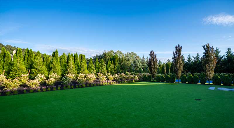 Artificial turf lawn installation with precision edging and evergreen borders, creating a low-maintenance landscape