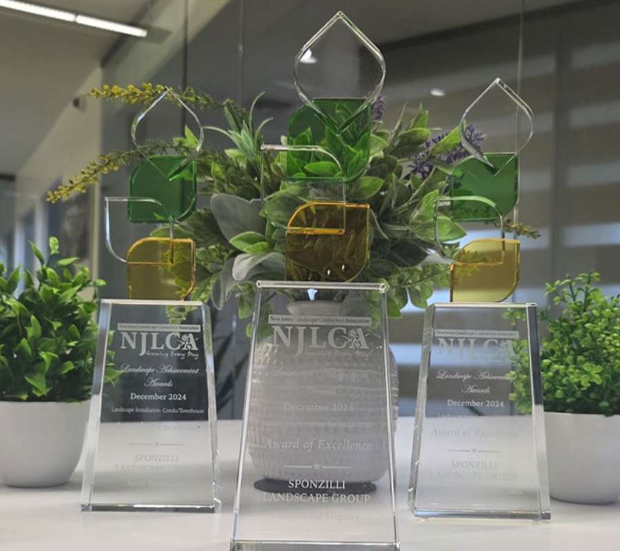 Why Choose Sponzilli for Your Essex County Landscape