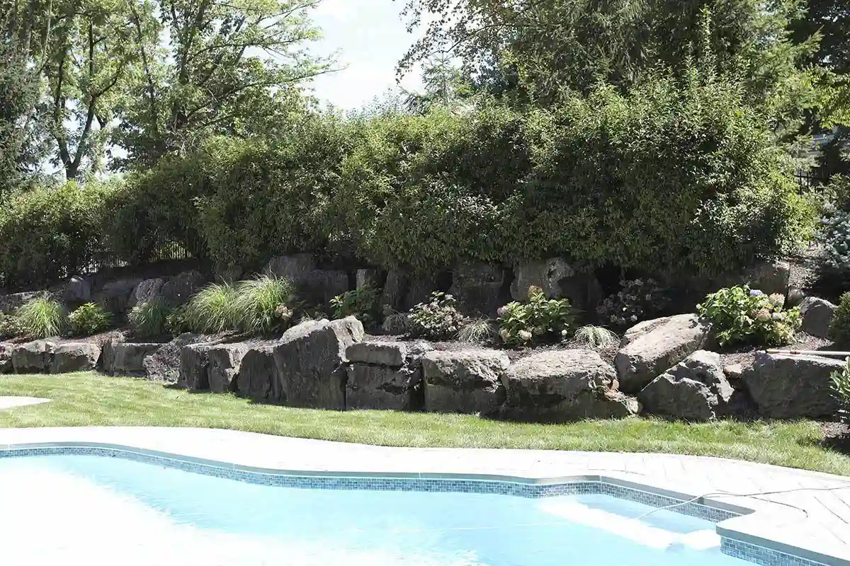 Landscape Design, Privacy Planting & Lighting