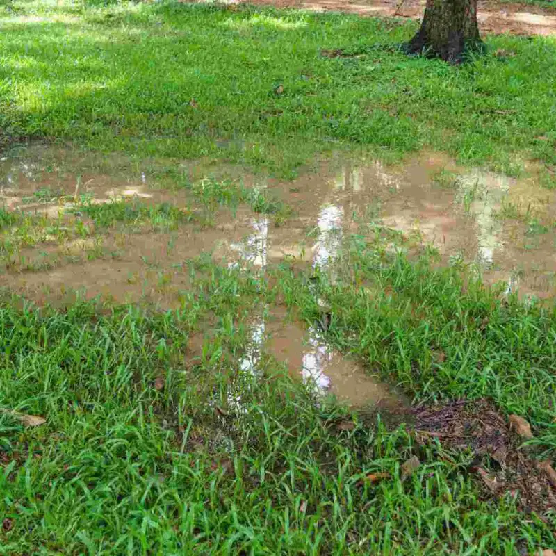 When Water Becomes a Problem, We Eliminate It at the Source.
