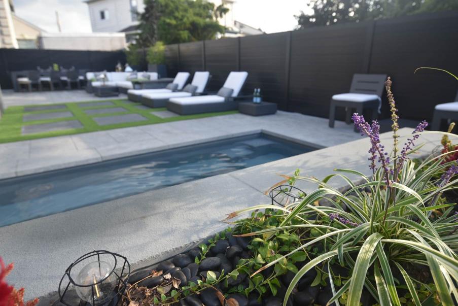Contemporary poolside planting design