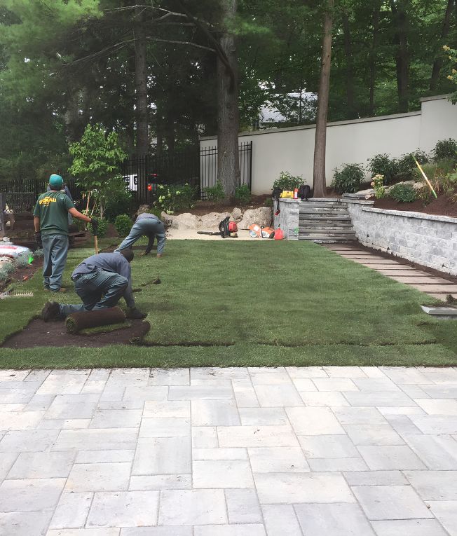 Erosion control and slope stabilization
