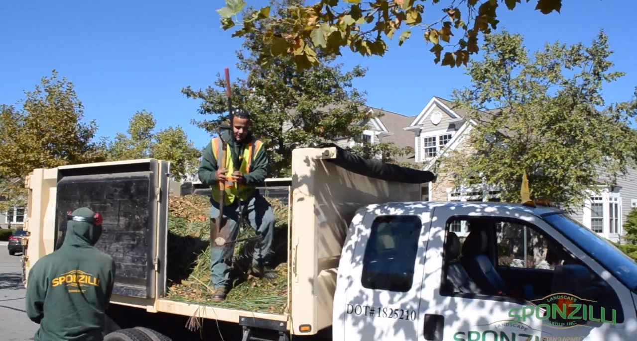 Fall landscape maintenance and pruning around residential properties