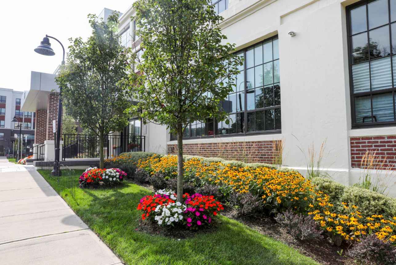 Fall turf and planting preparation for an HOA community