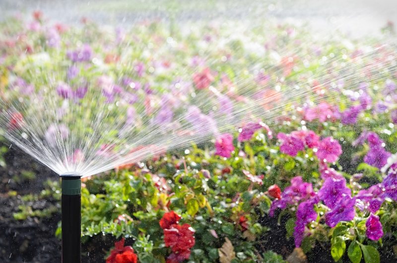 The Right Way to Water Why Your Home Needs Proper Landscape Irrigation