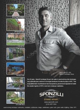 Real deals publication
