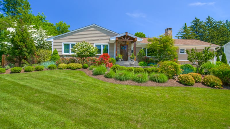 Garden with Mulch