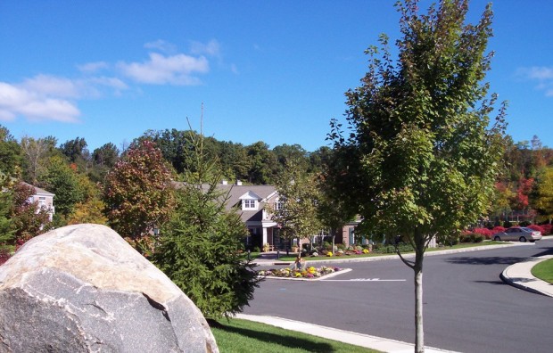 Landscape Maintenance Program Landscape Maintenance Program