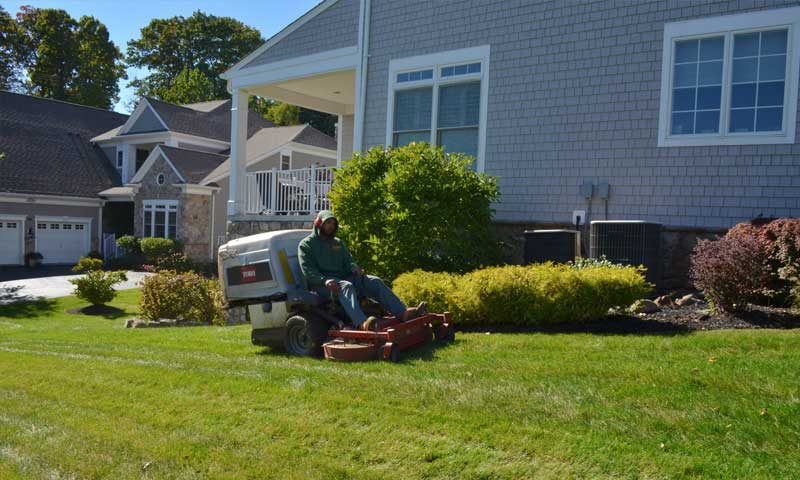 Landscaper providing lawn maintenance