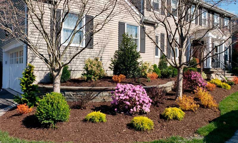 Garden bed in front of home with seasonal plantings, how-to-add-pops-of-color