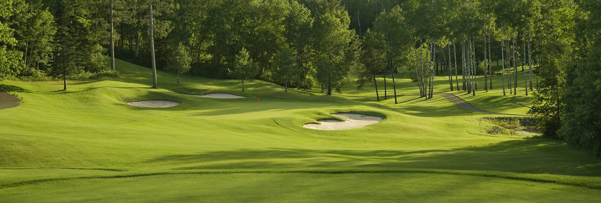 Hydroseeding - golf course
