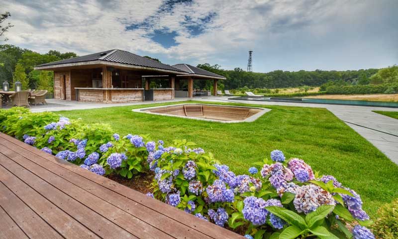 Back yard with purple hydrangeas, firepit, outdoor kitchen, infinity pool, include-native-plants-in-landscape-design