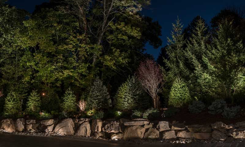 Rock wall with trees and shrubs lit with award winning landscape lighting, outdoor-lighting-for-seasonal-display