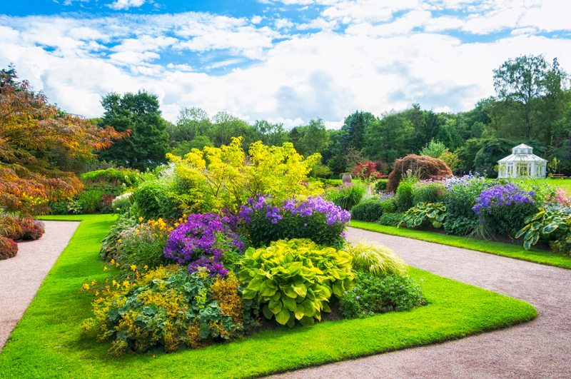 Professional Landscaping