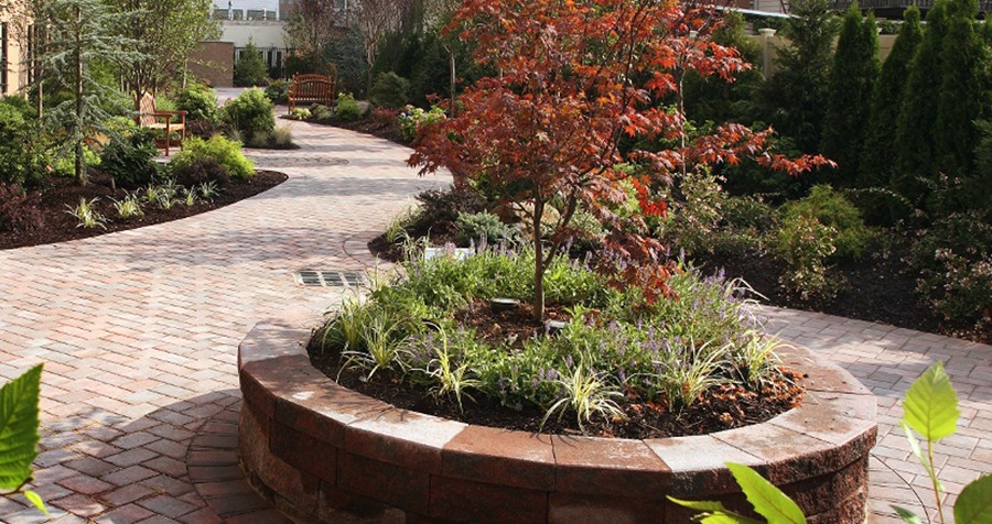 Gardens and Planting Beds