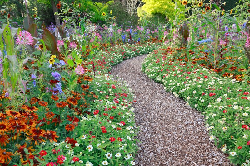 Colorful Garden Path